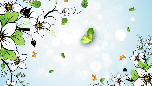 1047966 (a): :1920x1080